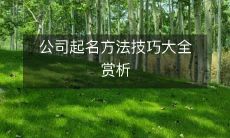 公司起名方法技巧大全赏析