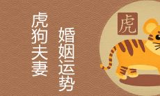 属狗的人旺属虎是真的吗 两人在哪年生宝宝好