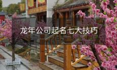 龙年公司起名七大技巧