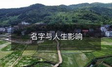 名字与人生影响