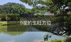 9星的生旺方位