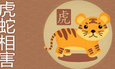 虎和蛇谁克谁 属相相害如何化解