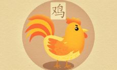 81属鸡男和87属兔女婚姻怎么样 如何化解