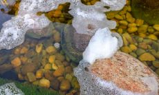 能力出众但从不炫耀自己的星座