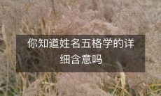 你知道姓名五格学的详细含意吗