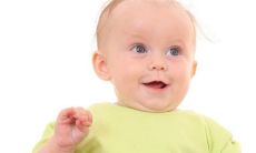 给兔宝宝起名字大全 洋气的2023兔宝宝名字