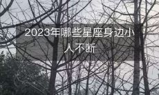 2023年哪些星座身边小人不断
