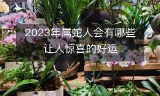 2023年属蛇人会有哪些让人惊喜的好运