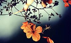 如何用八字算命 最新方法分享