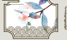 2023兔年腊月出生的女孩取名 巧硼嚇字名