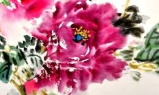 每日五行穿衣分享:2023年1月20日今日幸运色是什么