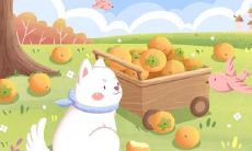 1981年属鸡佩戴什么招财 旺财风水要素