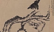 2023年1月23日五行穿衣指南 今日穿衣早知道