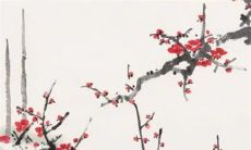 2023年1月11日五行穿衣指南今日衣服颜色搭配查询