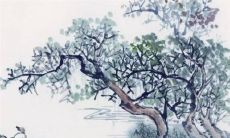 穿衣色彩攻略: 2023年1月4日五行穿衣属性查询