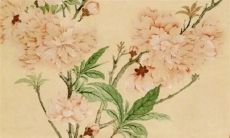 今日五行穿衣:2023年1月17日穿什么颜色旺运势