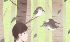 十二星座的分裂面是什么?