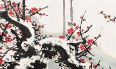 2023年1月15日五行属性查询 每日五行穿衣搭配