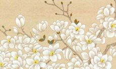 2022年12月14日适合装修开工吗 这天修房装潢可以吗