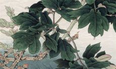 2022年十一月份最吉利的装修日子 黄道吉日一览表