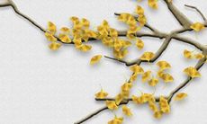 2022年农历十月最佳装修开工的黄道日子