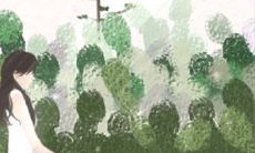 雪山玫瑰花语,送雪山玫瑰有哪些寓意?