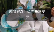 解救散漫,必需先求安宁