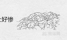 生辰八字5个土好惨为什么