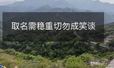 取名需稳重切勿成笑谈