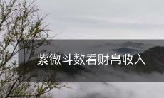 紫微斗数看财帛收入