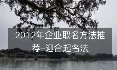 2012年企业取名方法推荐-迎合起名法