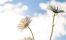 壬辰年是什么意思 壬辰年的人命理详解