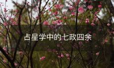 占星学中的七政四余