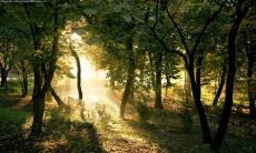 米仓宽昌姓名评分101分