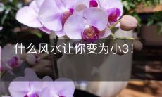 什么风水让你变为小3!