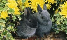 唐汇波姓名评分91分