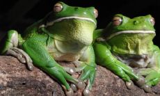 裴红清姓名评分105分