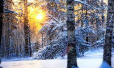 安卫涛姓名评分98分