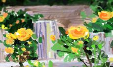 星座漫画：当12星座女被强吻