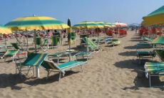 阮李锋姓名评分65分