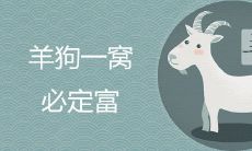 羊狗一窝,必定富是真的吗 如何提升两人的婚姻运势