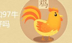 93年鸡和97牛结婚好吗