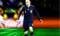 花序时姓名评分79分