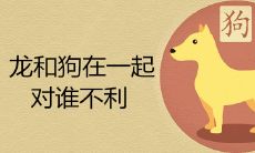 龙和狗在一起对谁不利 结婚的结局怎么样