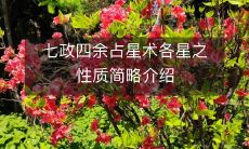 七政四余占星术各星之性质简略介绍