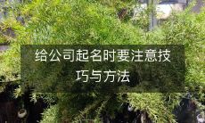 给公司起名时要注意技巧与方法