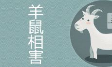 有没有羊鼠过一辈子的 如何化解二者相害