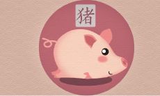 猪猴属相相配吗 申亥相冲怎么化解