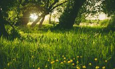 女人旺夫面相的特点是什么 旺夫相图有何特征