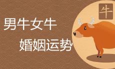 牛跟牛相冲吗 婚姻运势怎么样